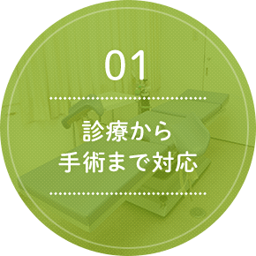 01 診療から手術まで対応